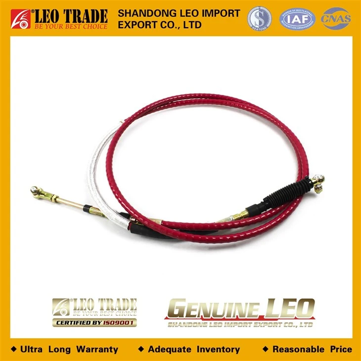 LEO200284A