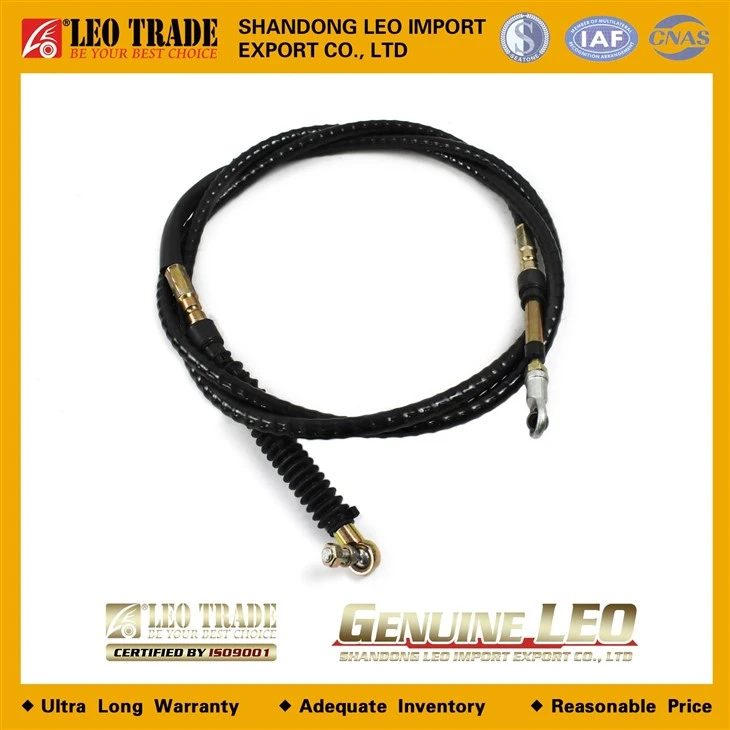 LEO200283A